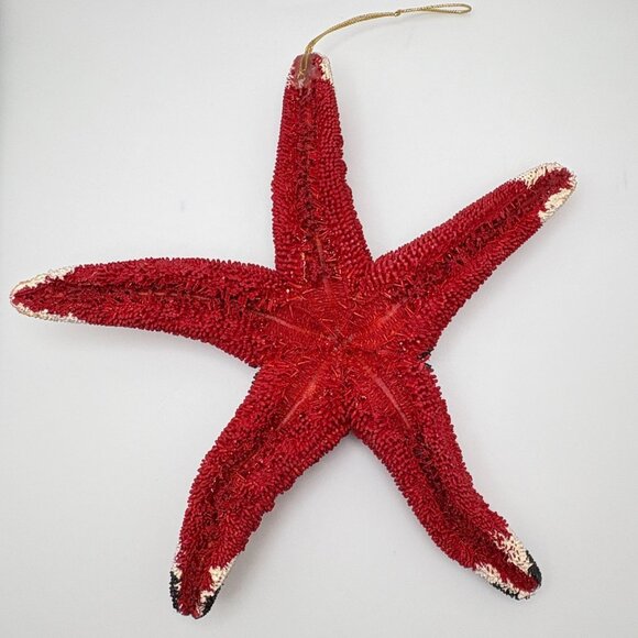 Vintage Real Starfish Santa Claus Christmas Tree Ornament Large Red Beach Ocean - Picture 2 of 7